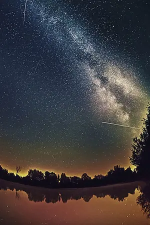 ปกนิยาย Bond Mind