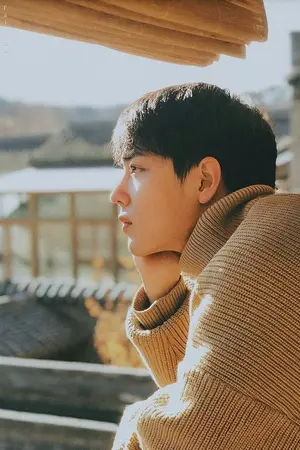 ปกนิยาย เพียงเงา | ป๋อจ้าน