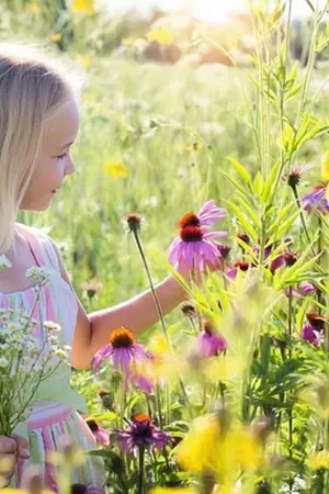 ปกนิยาย ความรักของลิซ่าจอมน่ารัก