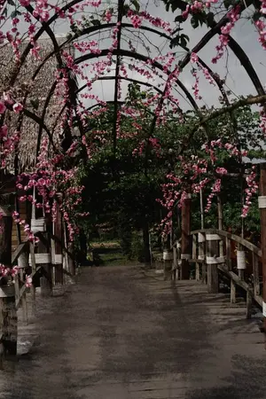 ปกนิยาย เกิดใหม่กลายเป็นผู้กอบกู้ตราไร้ค่า