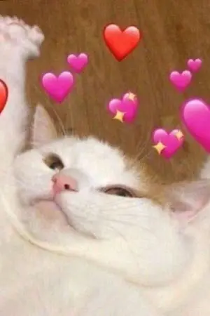 ปกนิยาย วันป่วนๆของก๊วนเด็กทับฉอง