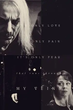 ปกนิยาย Harry Potter First love [lm x nm]