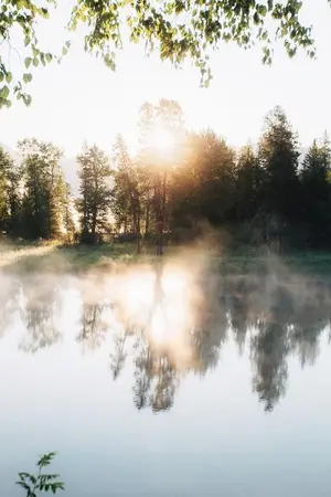 ปกนิยาย หมอกลั่นทม (Mpreg)