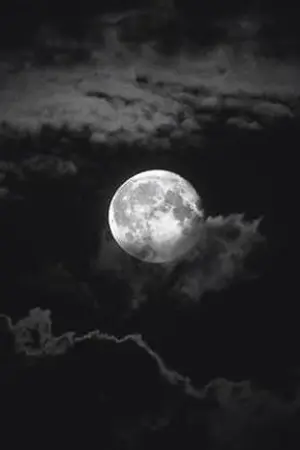 ปกนิยาย ลิขิตแห่งกรรม