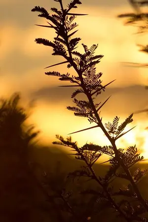 ปกนิยาย คืนสุดท้าย : our last night