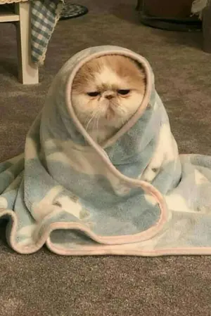 ปกนิยาย ผมลูกใครทำไมต้องบอก