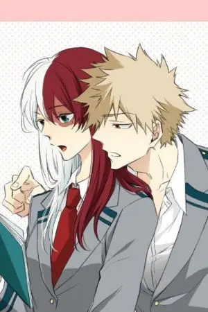 ปกนิยาย เมื่อโลกฮีโร่มีน้องสาว{todobaku​}