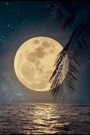 ปกนิยาย ต้องมนต์จันทร์ทรา