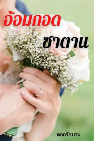 ปกนิยาย