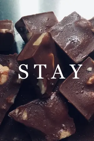 ปกนิยาย STAY ผมขออยู่เป็นเงาของคุณตลอดไป