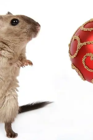 ปกนิยาย ระบบ ขาย... กับ โอเรกิ เรน