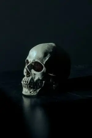 ปกนิยาย fic:TIAMHS // I am wizard of the death