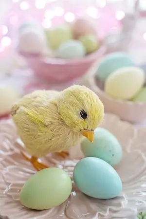 ปกนิยาย ซานจองพี่แล้วนะ