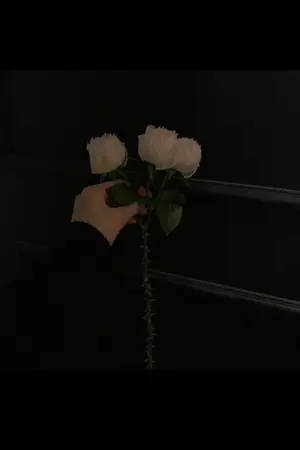 ปกนิยาย DALANNA