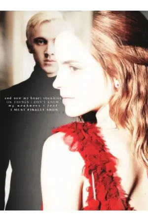 ปกนิยาย F l a s h l i g h t  - เ เ ส ง ส ว่ า ง