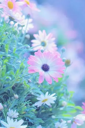 ปกนิยาย The flower god