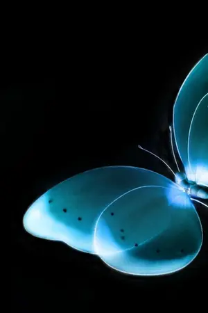 ปกนิยาย Supernatural Girl #แทนอลิซ