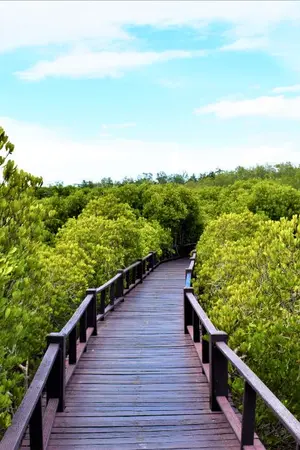 ปกนิยาย แค้นครวญเสน่หา