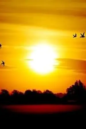 ปกนิยาย Always your sun #พี่ซันน้องโซ่