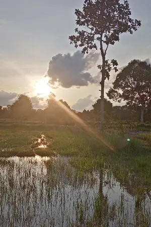 ปกนิยาย เมื่อน้ำท่วมทุ่ง