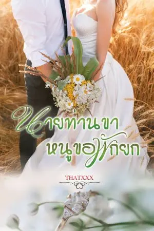 ปกนิยาย