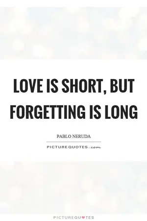 ปกนิยาย Love is so short, forgetting is so long.