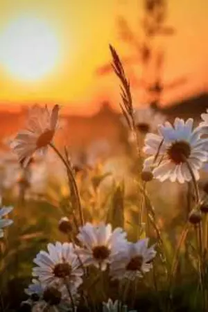 ปกนิยาย เริ่มใหม่ครั้งนี้จะต้องรอด