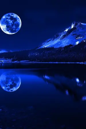 ปกนิยาย The Vampires Night