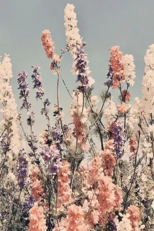 ปกนิยาย [ Fic Rov x Honkai Impact 3rd ] You and I in each other's arms