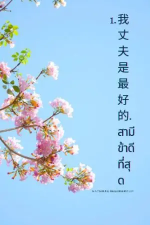 ปกนิยาย 我丈夫是最好的。สามีข้าดีที่สุด Re-write