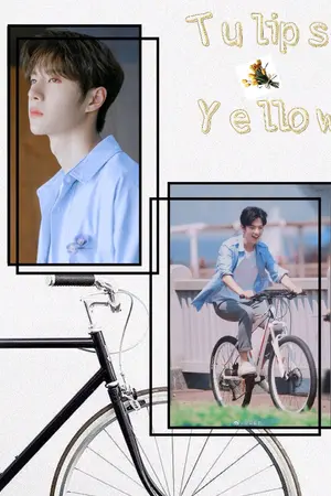 ปกนิยาย ทิวลิปสีเหลือง|ป๋อจ้าน