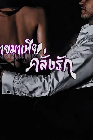 ปกนิยาย