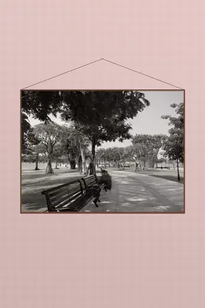 ปกนิยาย <PlantZ> สี