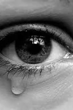 ปกนิยาย เรื่องเศร้าเรื่องที่ 2 “ส้มรักแม่ จีนก็รักแม่นะ”