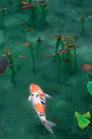 ปกนิยาย ニャー, nya in july ☂︎ | kitepitoukite