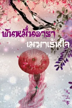 ปกนิยาย พันหมื่นดารา เมฆาเร้นใจ