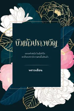 ปกนิยาย