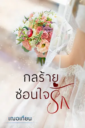 ปกนิยาย