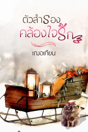 ปกนิยาย