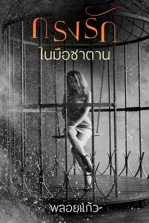 ปกนิยาย