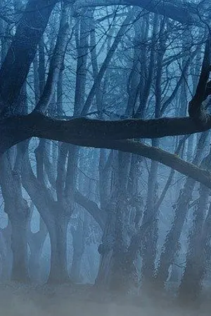 ปกนิยาย องครักษ์ต้องสาป(จบแล้ว)