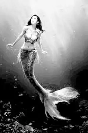 ปกนิยาย Mermaid _ รักใสๆของยัยปลาน้อย