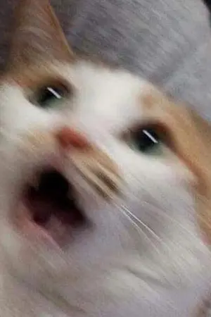 ปกนิยาย โชคดีเเล้วทูนหัวที่มีผัวเป็นมาเฟีย  " Sweet & Easy "