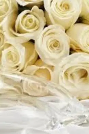 ปกนิยาย สัญญาวิวาห์รัก