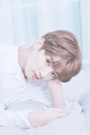 ปกนิยาย Villain wife |vkook  (End)