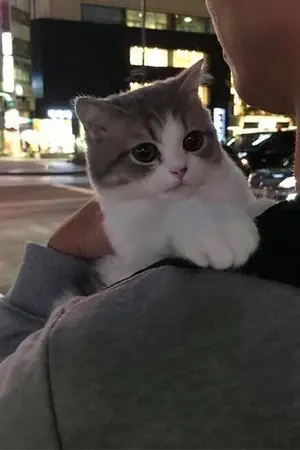 ปกนิยาย (markmin) เจ้าเหมือง