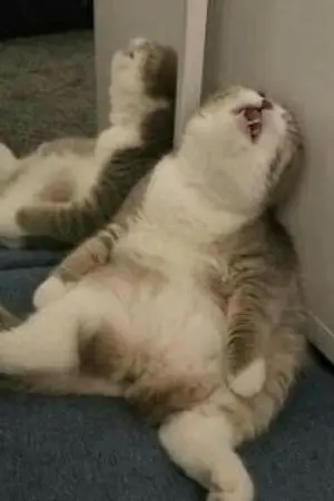 ปกนิยาย กาลครั้งหนึ่งครั้งนั้นที่ผมตื่น