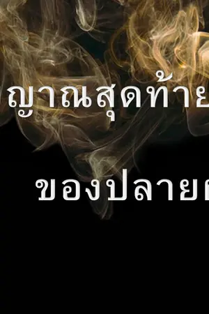 ปกนิยาย