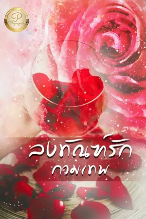 ปกนิยาย