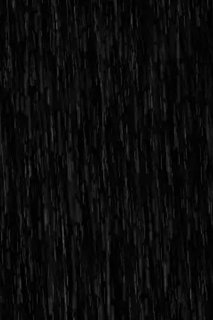 ปกนิยาย ชายผู้เห็นฝนสีดำ